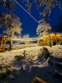 A cozy house in Kikiti with a fireplace and a beautiful yard. - Image 4