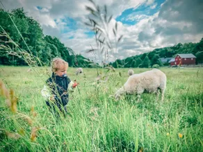 Peaceful oasis with farm animals on Nøtterøy - Image 4