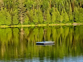 Tranquility on the lake - Image 4