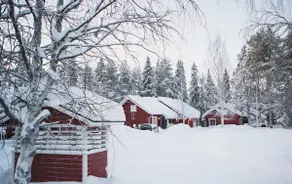Peaceful vacation home, sauna, fireplace, Wi-Fi - Image 5