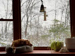 Relaxed Country Home Hikes&Gunks&BlueCliff - Image 5