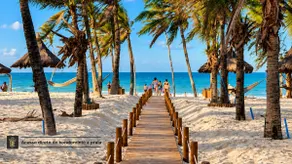 Beach by the Window, nature in focus, Exclusive! - Image 4