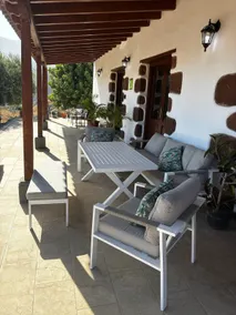 The Carob Tree - Image 2