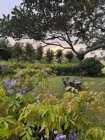 Berry Farm House - Image 5