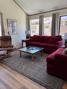 Pet friendly condo with AC close Loon - Image 4