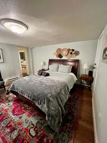 Private Apt, heart of Denver, close to everything! - Image 2