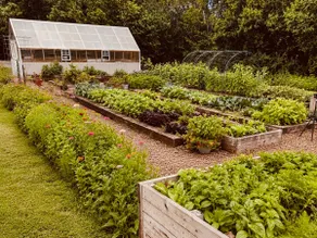 The Green Cottage Farm Stay - Image 3