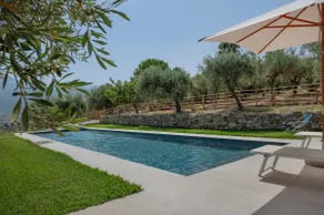 House of Olives - Image 2