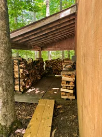 Adirondack Cabin | Grill | Fire Pit | Trail Access - Image 2