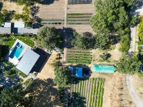 Fryer Creek Agriturismo - Modern Sonoma farm retreat! - Image 3