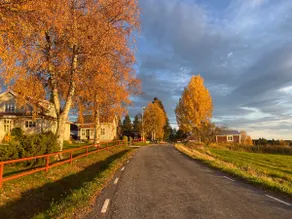 Charming cottage on a farm - Image 5