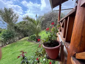 The Charm of Taita Imbabura - Image 4