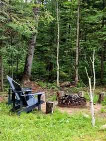 The Acorn of Little Sand Bay Secluded, Wooded, and Dog Friendly! - Image 4