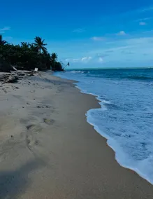 Beach FRONT Apartment in Loiza - Image 3