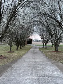 Peaceful Country Home w/Covered Bridge - Image 3