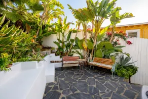 Light Filled Artist Bungalow | Hollywood Hills - Image 4