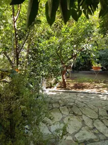 Orange Garden, a quiet corner in Chalandri - Image 5
