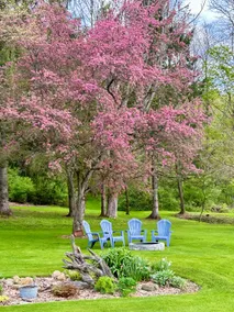 The 1815 Lakeview Retreat - Image 5