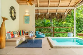 Natural Paradise in Playa Grande - Image 3