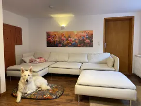 Family & dog-friendly house with garden - Image 2