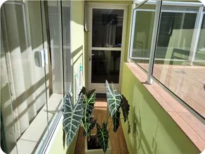 Life and Health Space - apt 02 - Olympia - SP - Image 4