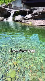 Creekside Cottage | stream and swimming | fire pit - Image 5