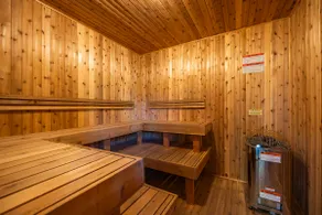Skiers garden retreat -sauna, fireplaces, hot tub - Image 4