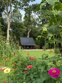 The Wildflower - Image 5