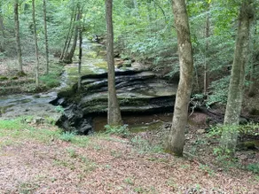 Nature’s Treasure at Deer Ridge - Image 2