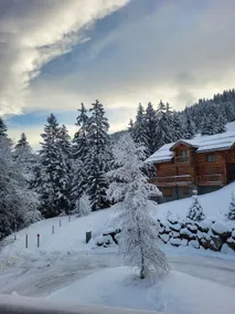Chalet Courchevel La Tania - 14 personnes - 7 chambres 7 salles de bains - 40 m des pistes - Image 4