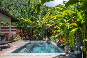 Villa Māha Iti 2 - Little Villa w Private Pool - Image 5