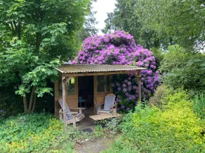 “Zen Cottage in the Veluwe – Chalet in Nature” - Image 5