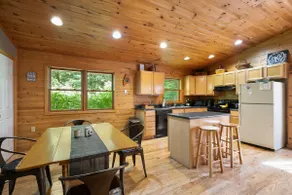 Lake Access Cabin: canoe, 3 private acres w/trail - Image 4