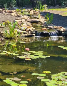 Log Cabin with Koi Pond in Mayberry-Wine Trail! - Image 3