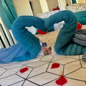 Love Room-Jacuzzi-Wifi-Air conditioning, projector - Image 5