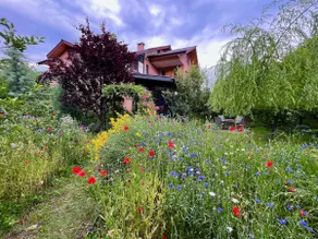 An exquisite cottage with a loft near Dal Lake. - Image 4