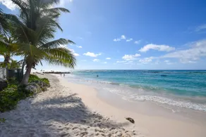 Beachfront Cosy and Romantic Condo - Nautilus - Image 4