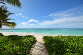 Beachfront Cosy and Romantic Condo - Nautilus - Image 3