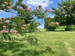 The Artist Suite | Enjoy Nature + Art - Image 4