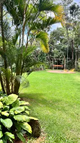 Monkey Retreat-Heated Pool/ 5 Suites/ Stream - Image 3