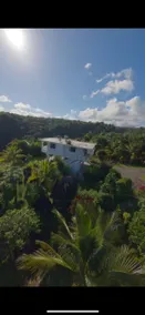 Private Tropical Oasis - Image 5