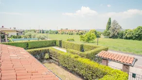 The House in the Vineyard - Italian Homing - Image 5
