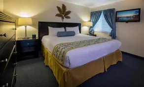 Experience All Of What Tampa Has To Offer! Full Kitchen, Free Parking, Pool - Image 2