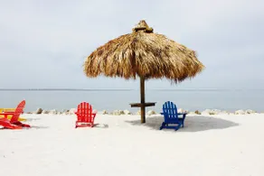 Experience All Of What Tampa Has To Offer! Full Kitchen, Free Parking, Pool - Image 4