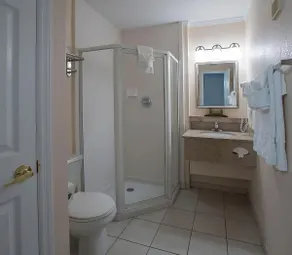 Experience All Of What Tampa Has To Offer! Full Kitchen, Free Parking, Pool - Image 3