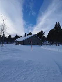 Modern cabin for rent 5 km from Røros! - Image 2