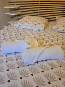 Apartment near Groupama stadium/LDLC/Eurexpo - Image 2
