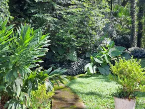 Large house for up to 12 people in nature, Itaara - Image 5