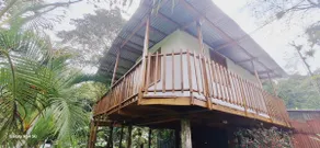 Celeste River View Cabin - Image 2