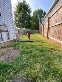 Pup Paradise - Privacy Fence! - Image 5